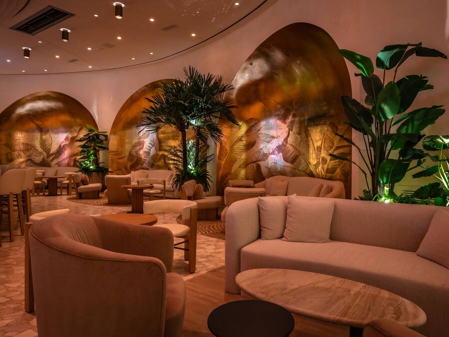 A modern lounge area with sofas, chairs, and a large plant.