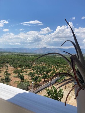 View from property - Enchanting Mycenae - Your Greek holiday retreat!! (Mykines)