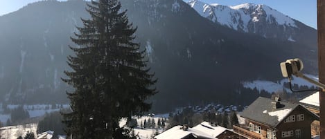 A mountain village with snow-covered houses and a prominent evergreen tree in the foreground.