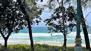 Vista de una playa con árboles y cielo despejado.