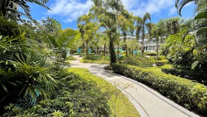Un sendero bordeado de abundante vegetación y palmeras, que conduce a un edificio de diseño moderno.