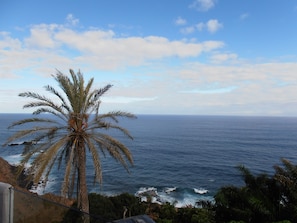 View from property - Atlantic Paradise (Los Realejos)