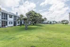 A residential area with a large lawn, a tree, and a building with multiple windows and a garage.