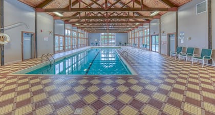 Dog Friendly with Amenities