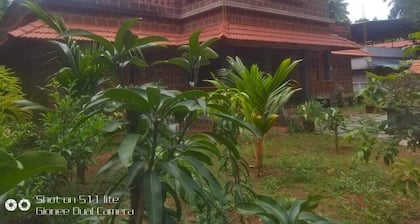 Cool stay in the middle of Kerala where you can wander throguh natural beauty