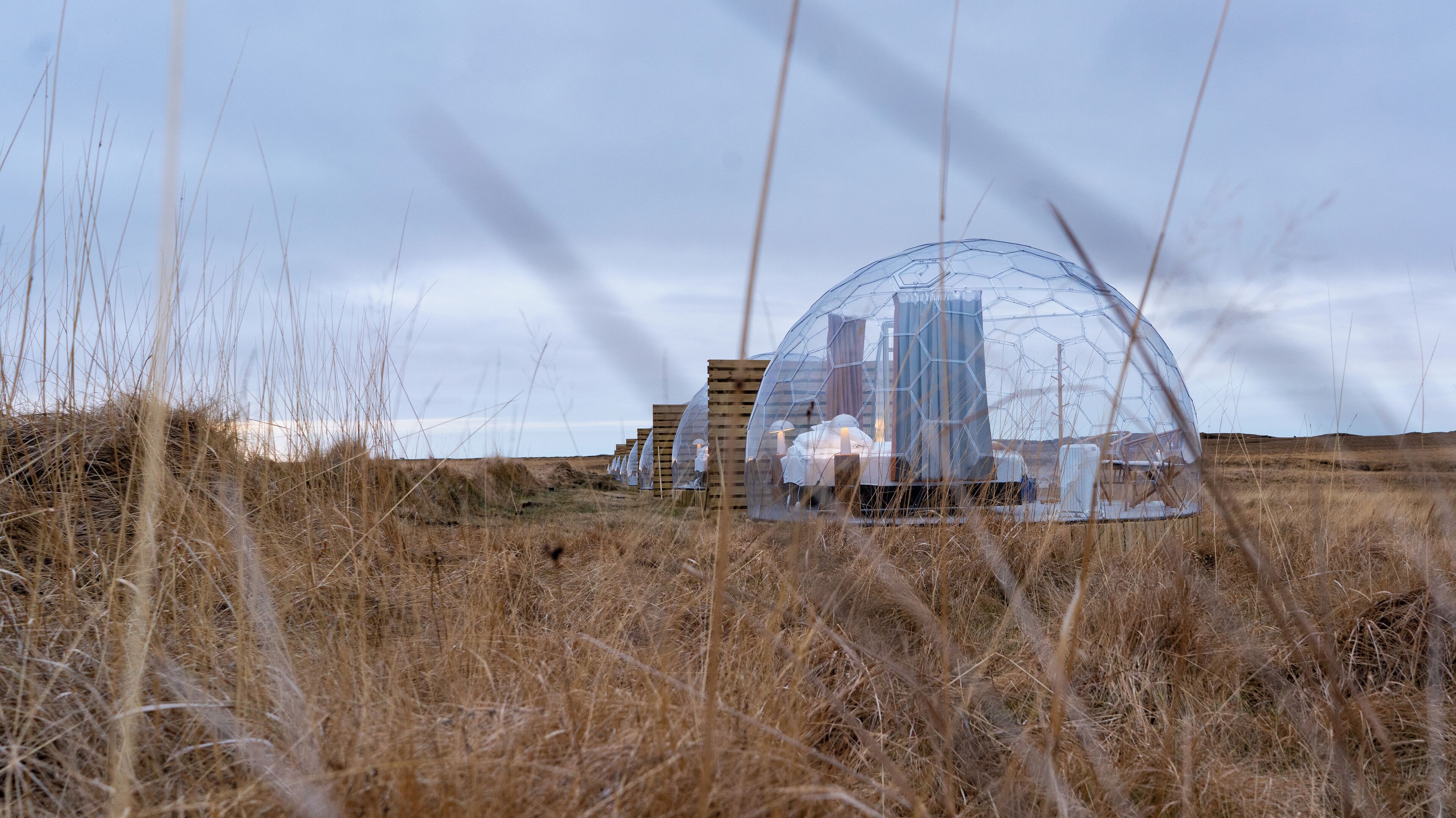 Une série de structures en forme de dôme transparentes, installées dans un champ d’herbe.