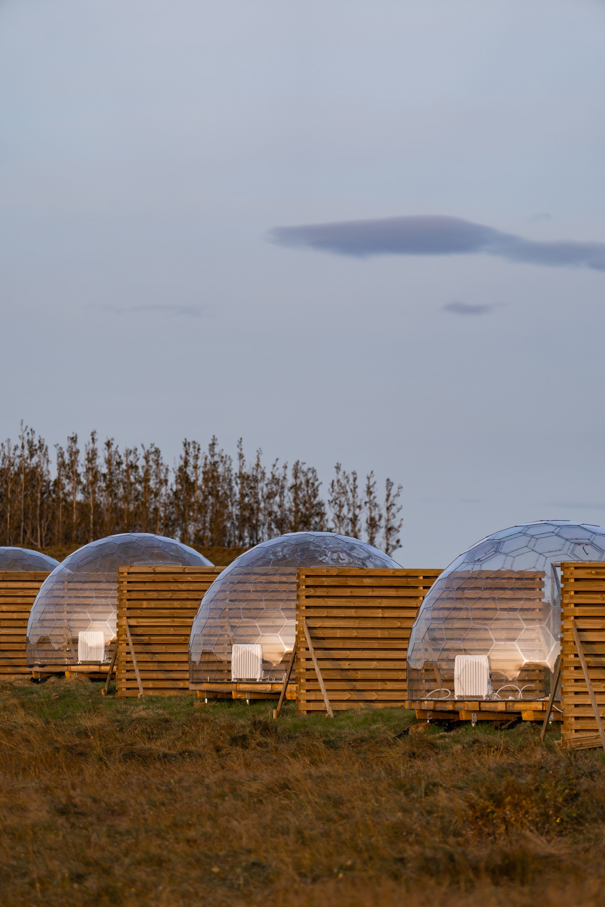Transparent dome-shaped structures with wooden benches and a grassy field in the background.