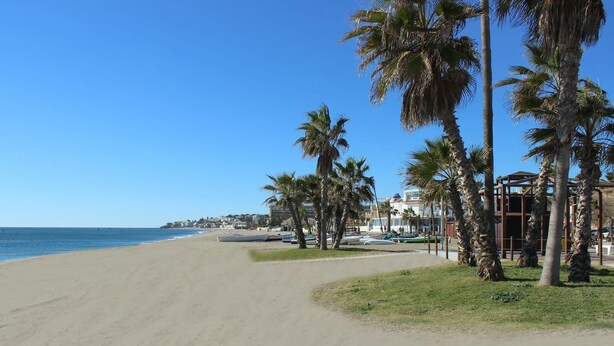Una playa con cielo despejado, palmeras y un sendero arenoso que lleva al agua.