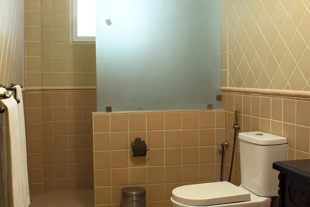 shower, hair dryer, slippers, bidet