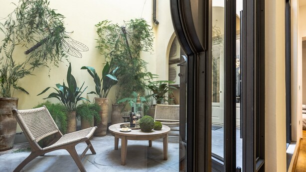 Un espace patio aménagé avec un fauteuil en osier, une table ronde avec un plateau en verre et des plantes en pot.