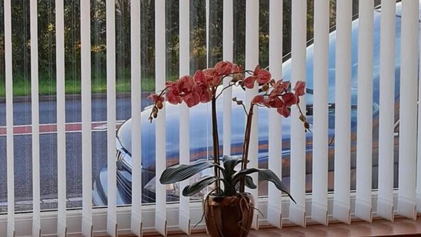 A room with a window covered by white blinds, a potted plant with pink flowers, and a parked car outside. - Immaculate 3-bed House in Durham Near Sedgefield (Trimdon Station)