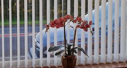 Immaculate 3-bed House in Durham Near Sedgefield