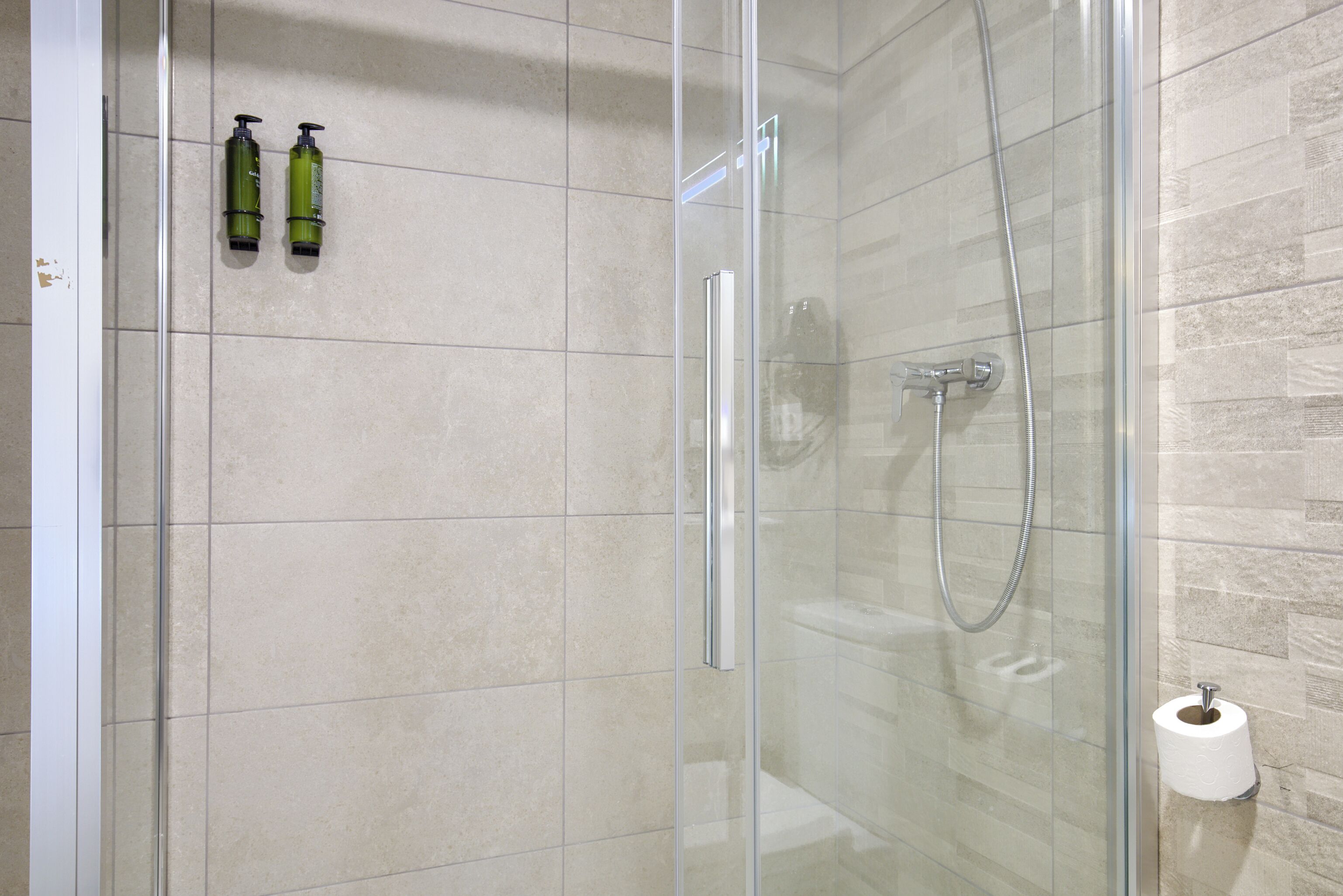 A glass-enclosed shower with a handheld showerhead and a wall-mounted toilet paper holder.