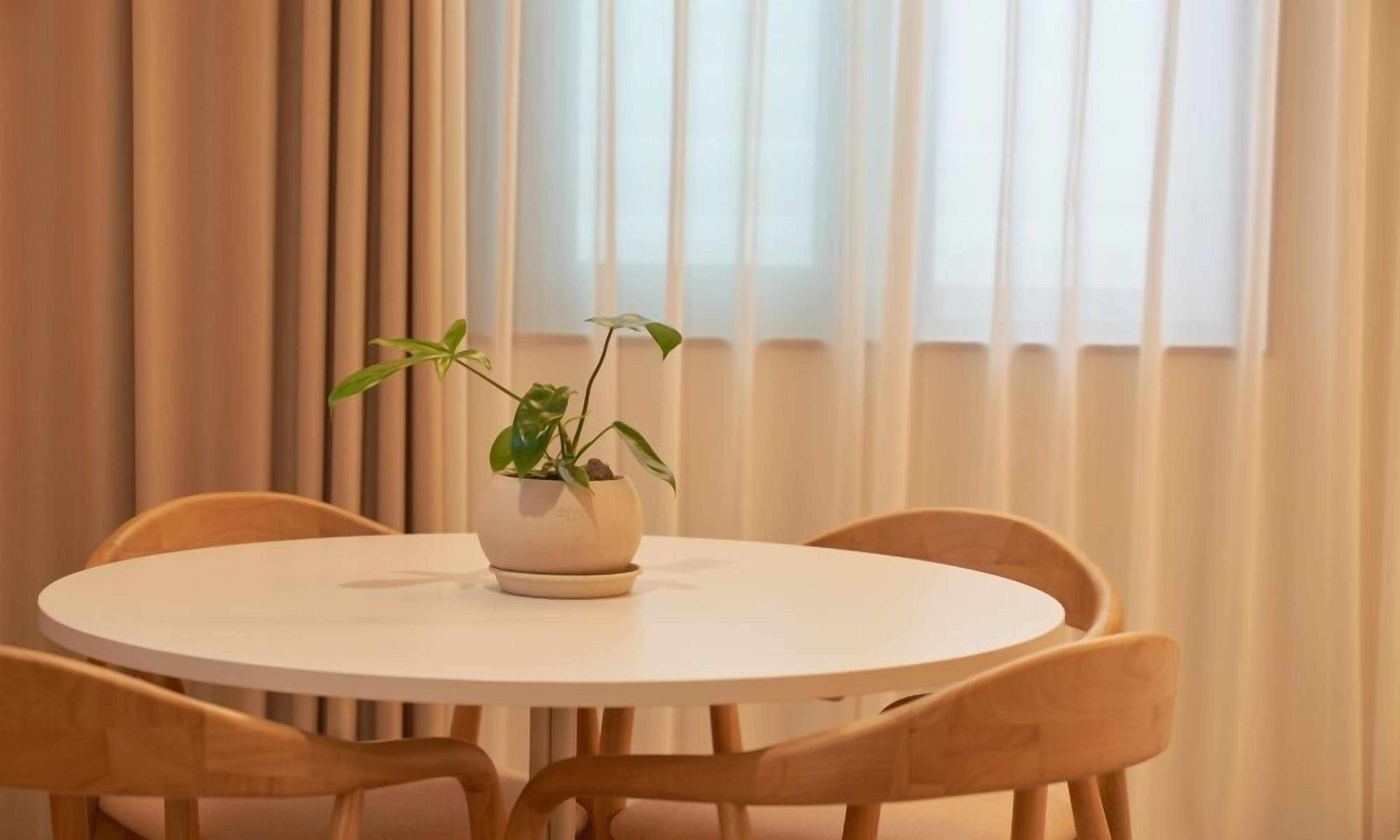 A round table with a potted plant in the center, surrounded by wooden chairs.