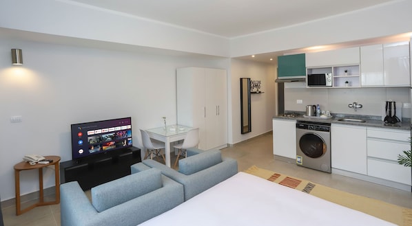 A modern apartment with a living area, a small kitchen, and a laundry room.