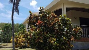 Un edificio con un porche cubierto y una palmera al frente.
