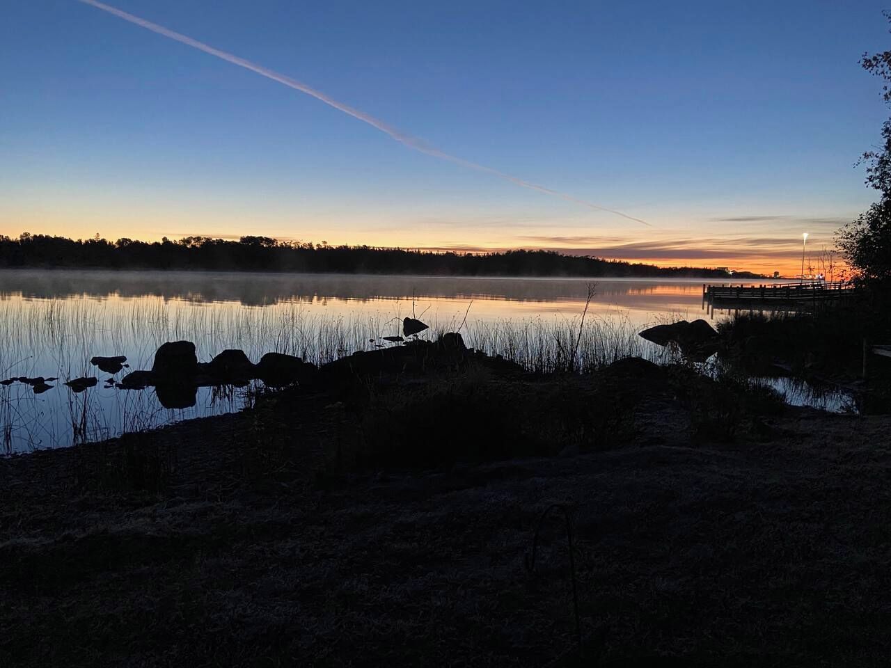 A serene lakeside scene with a wooden dock extending into the water, surrounded by natural vegetation.