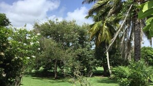 A lush garden with various trees and a well-maintained lawn. - Villa Lagoon Accès Direct à la mer (Le Vauclin)
