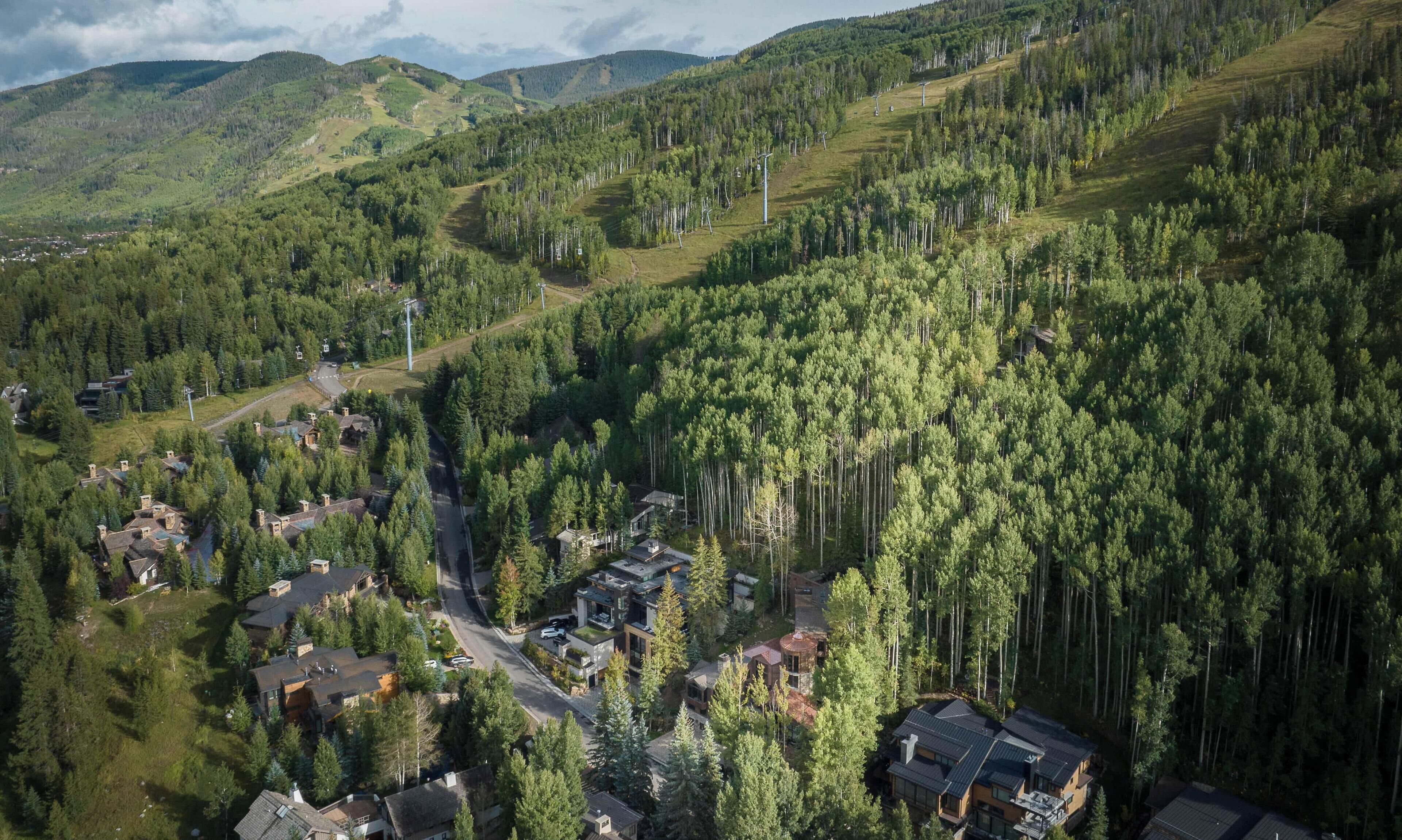 Un quartiere residenziale con case circondate da un bosco fitto, una strada sinuosa e montagne in lontananza.