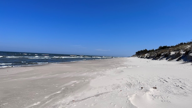 A wide sandy beach with gentle waves, a clear sky, and a forested cliff on the right. - Apartamenty Sun & Snow Las i Morze (Trzebiatow)