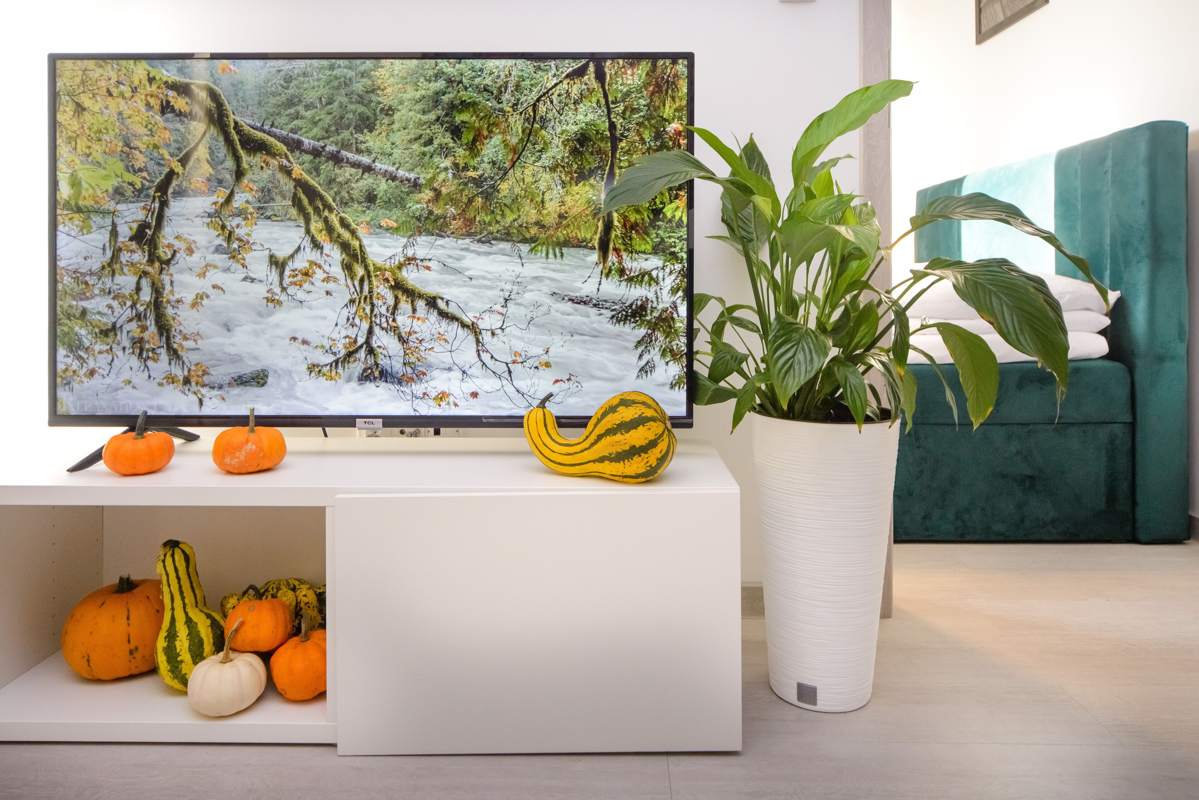 Photo - Maya's Apartments