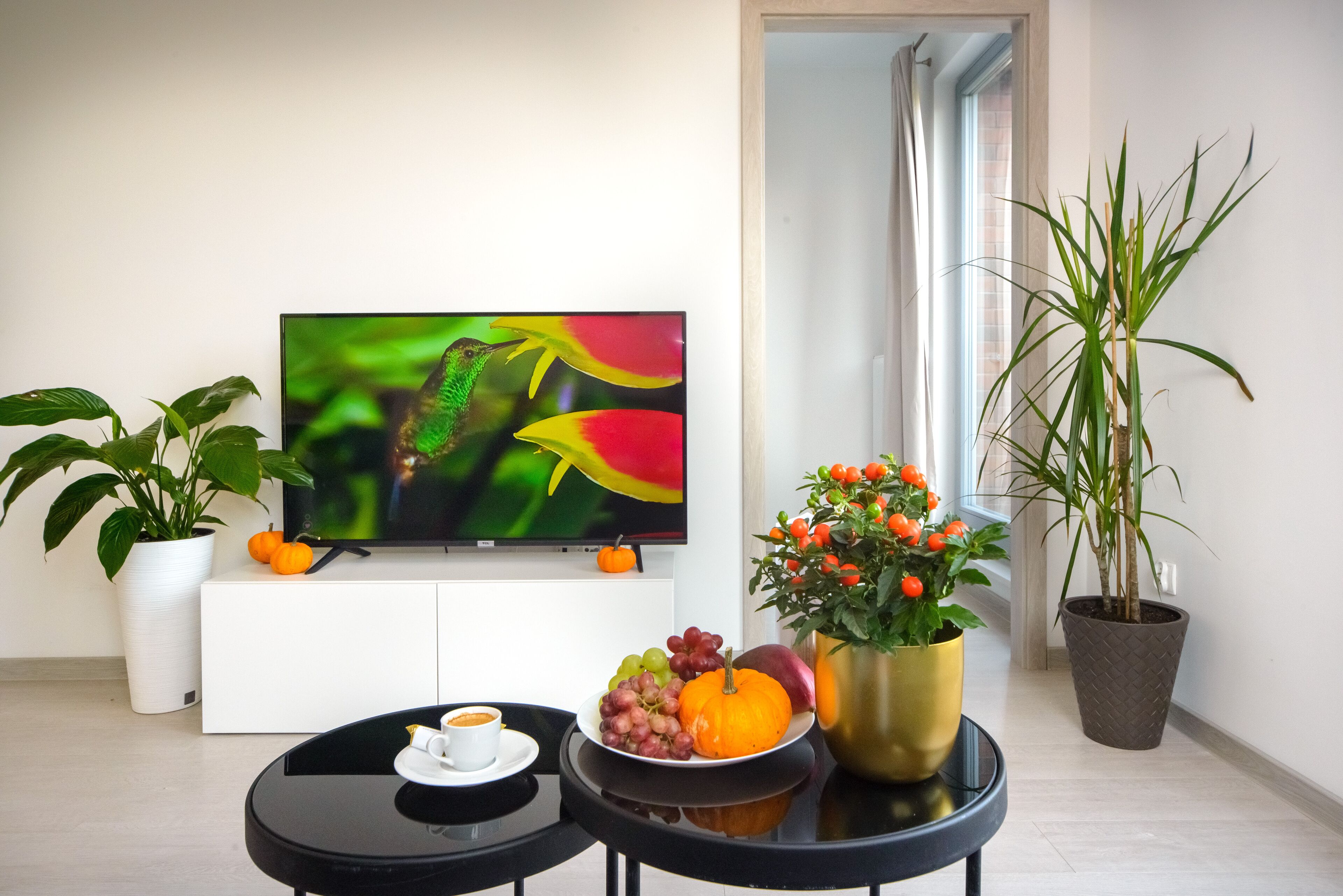 Photo - Maya's Apartments