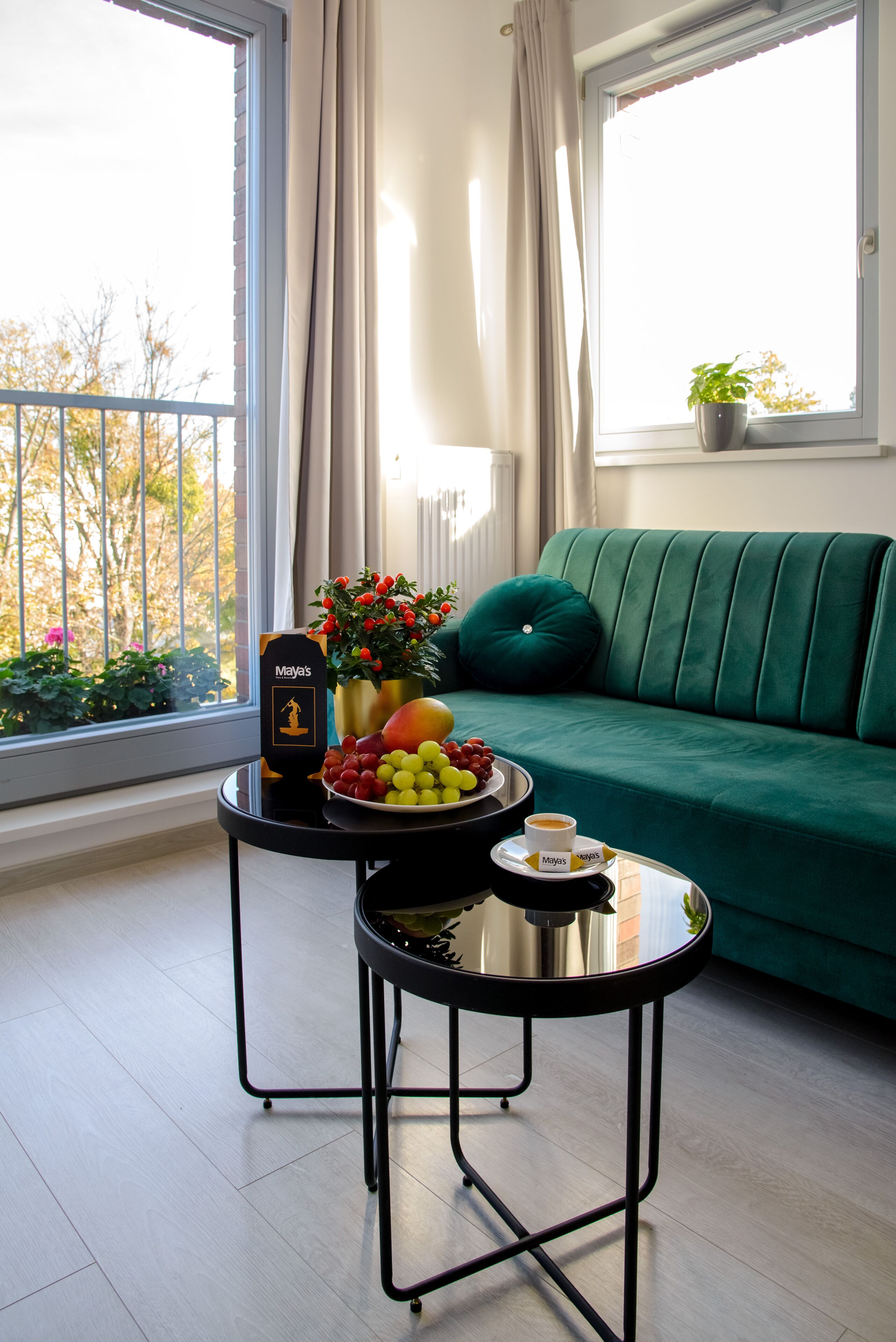 Comfort Apartment | 1 bedroom, iron/ironing board, free WiFi
