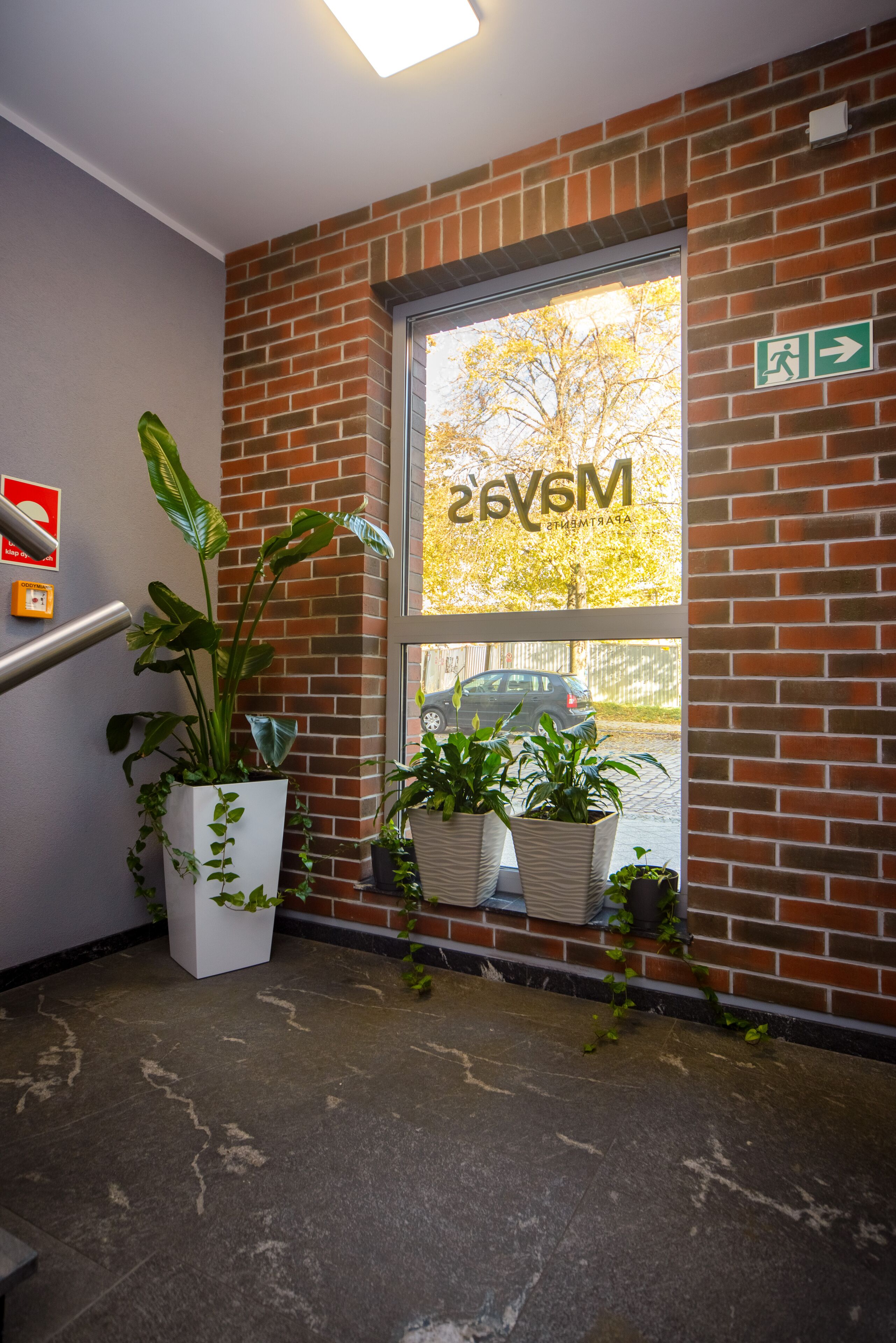 Photo - Maya's Apartments