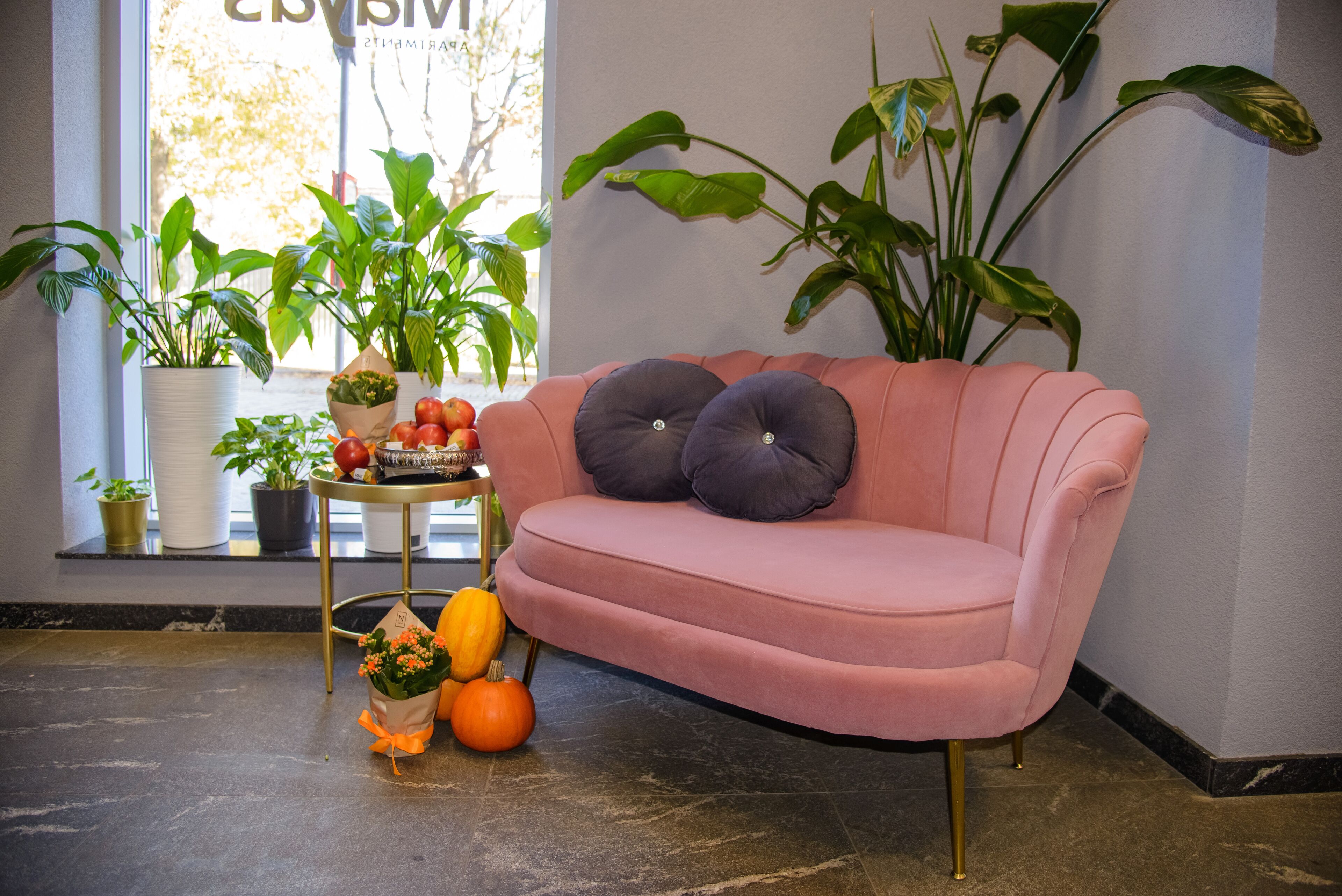 Photo - Maya's Apartments