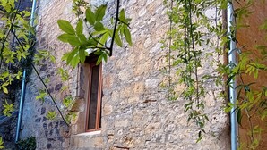 A stone building with a wooden door and a small window.
