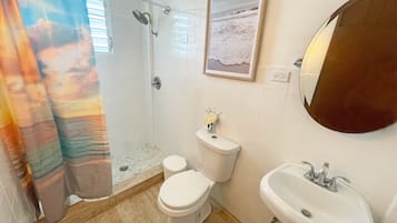Hair dryer, towels, soap, shampoo