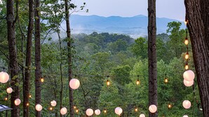 A forested area with string lights and trees.