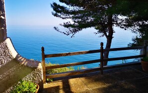 Property grounds - Sea access: large villa with stunning views (house A) (Castro)