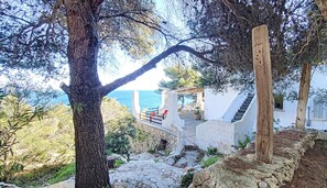 Terrain de l’hébergement 