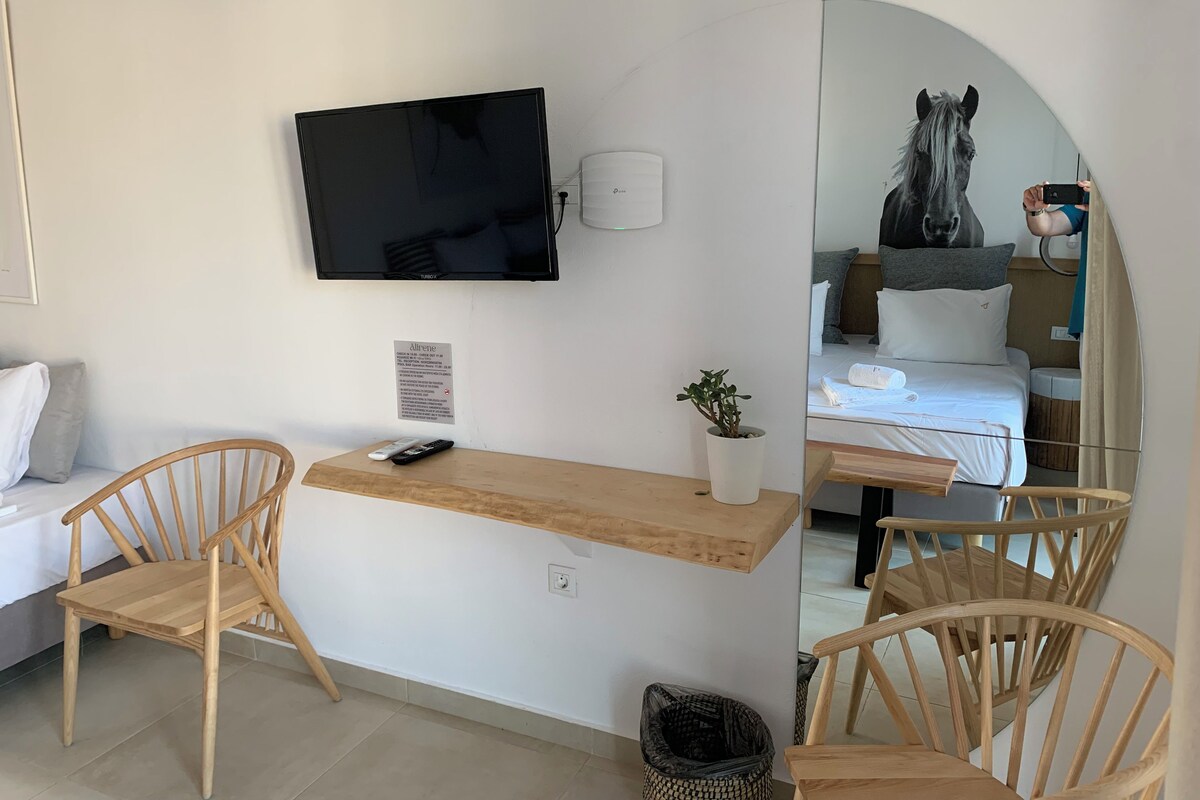 Quarto moderno com uma escrivaninha de madeira, duas cadeiras de madeira, uma televisão, uma pequena planta em vaso e uma lixeira.