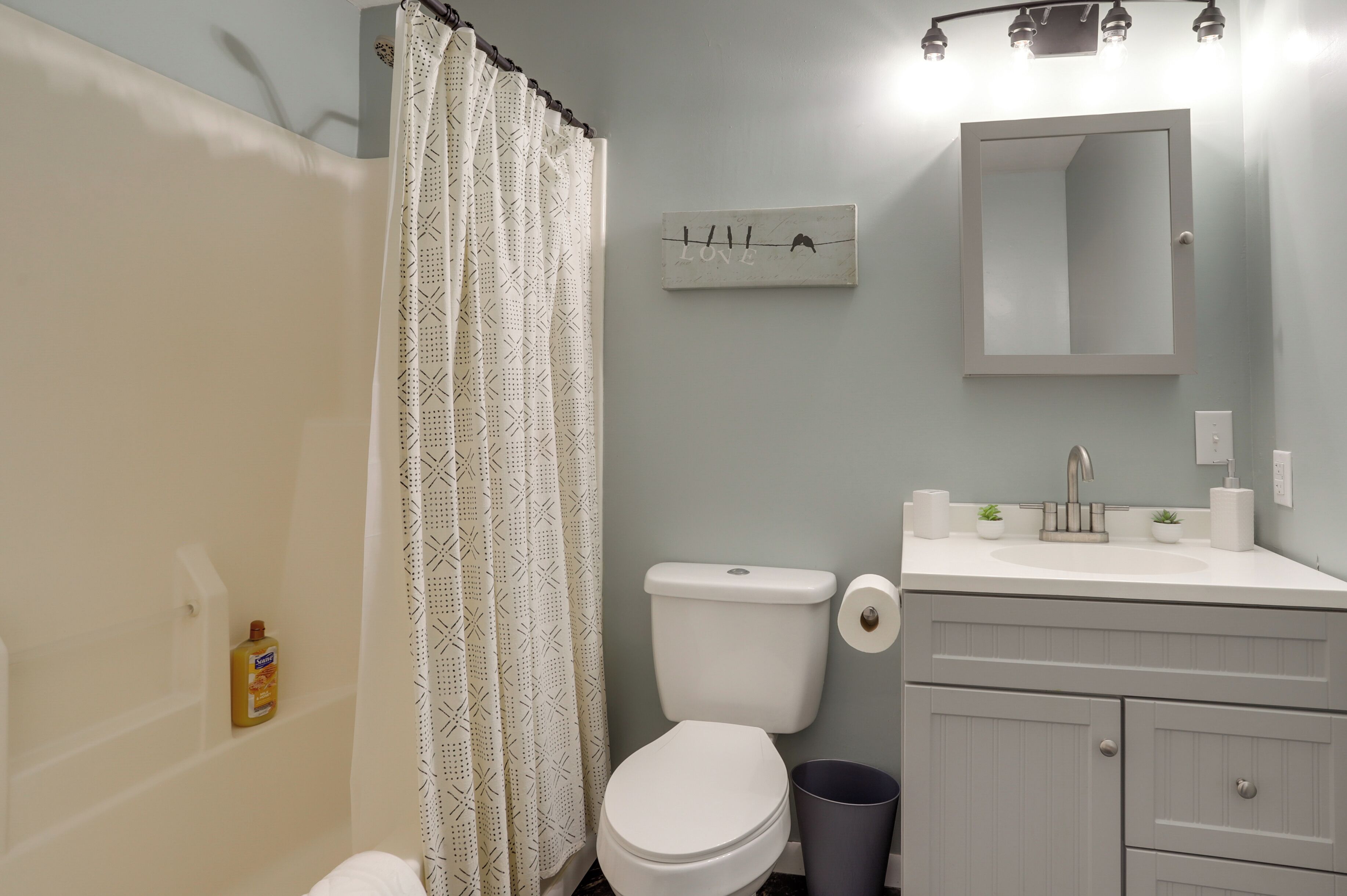 Une salle de bain avec des toilettes, un lavabo et un rideau de douche.