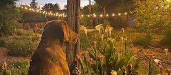 Charming Dog-Friendly Home Near Regional Park