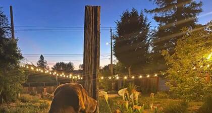 Charming Dog-Friendly Home Near Regional Park