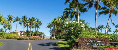 A road leading to a sign for Waikoloa Colony Villas with palm trees and greenery.