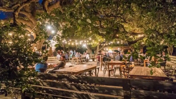 An outdoor dining area with wooden tables and benches, string lights, and a tree providing shade. - Stunning 'Ranch Modern' + Stars! + Firepit! (Driftwood)