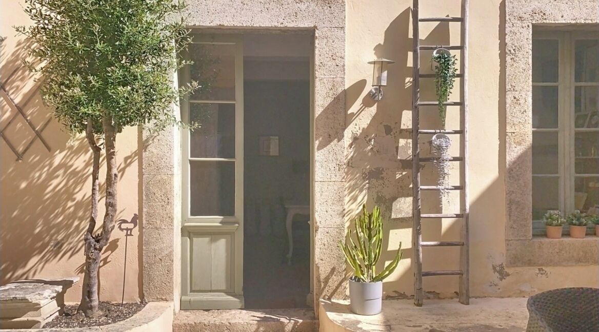 A building entrance with a door, a small tree, a potted plant, and a ladder leaning against the wall.