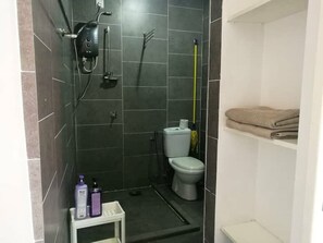 Bathroom features a toilet, shower area with handheld showerhead, and a shelf for towels.