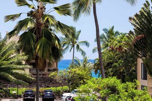 Property grounds - Plan Your Hawaii Vacay at Grace's Oasis! (Kailua-Kona)
