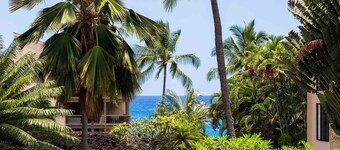 Plan Your Hawaii Vacay at Grace's Oasis!