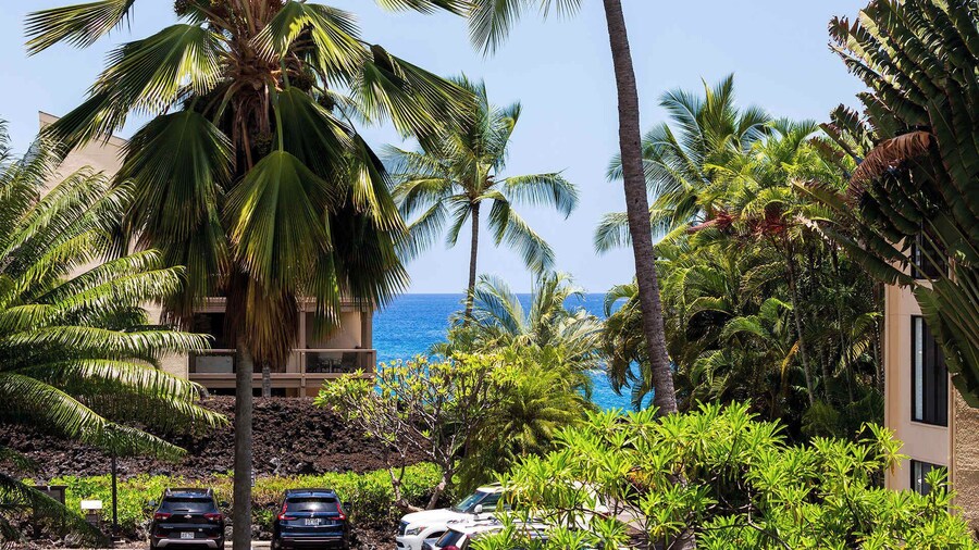 Plan Your Hawaii Vacay at Grace's Oasis!