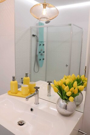 Shower, hair dryer, bidet, towels