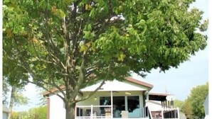 A large tree in front of a house with a porch and a covered area. - Entire 3 Bedroom Lake House in Beaver Dam (Beaver Dam)
