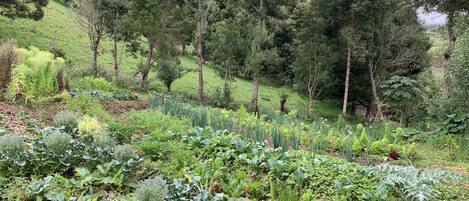 Terrain de lâhĂ©bergement
