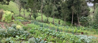 Urku Allipacha Finca Orgánica Casa DE Campo