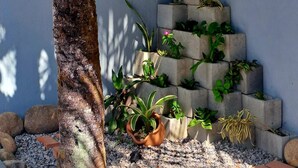 A small courtyard with a palm tree, a concrete staircase with plants, and a window. - Rua Professor Nelson Rabello (Marica)